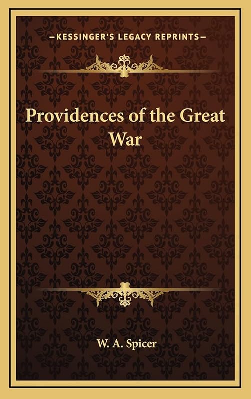 Providences of the Great War by W a Spicer