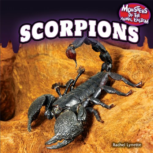 Scorpions by Rachel Lynette