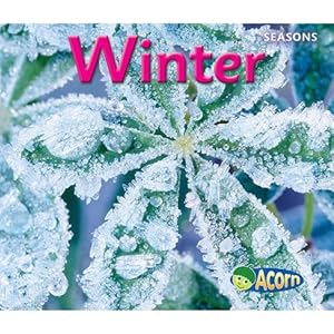 Winter (Seasons (Heinemann))