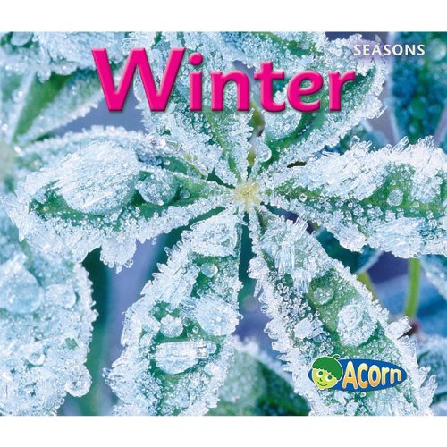 Winter (Seasons (Heinemann)) by Sian Smith