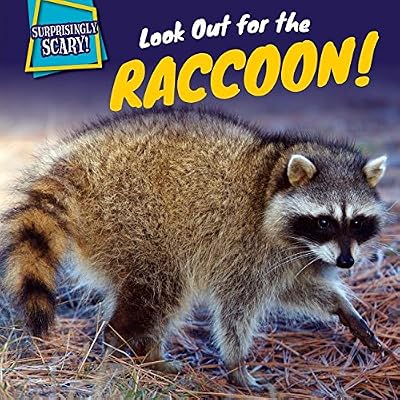 Look out for the raccoon!.