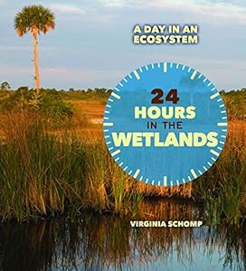24 hours in the wetlands