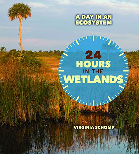 24 hours in the wetlands by Virginia Schomp