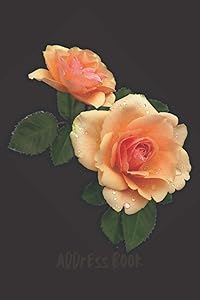 Address book for email and passwords: Password book for seniors with tabs. Username and password organizer. Address book with tabs. Password book with ... design of the cover (tender pink rose). by E.O2 Publishing House