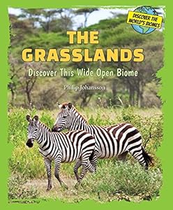 The Grasslands: Discover This Wide Open Biome