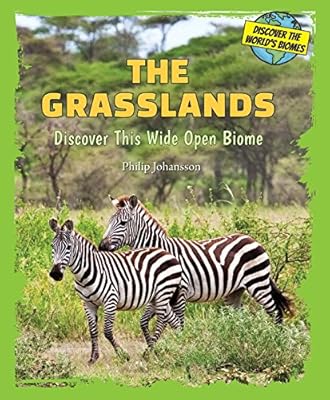 The Grasslands: Discover This Wide Open Biome