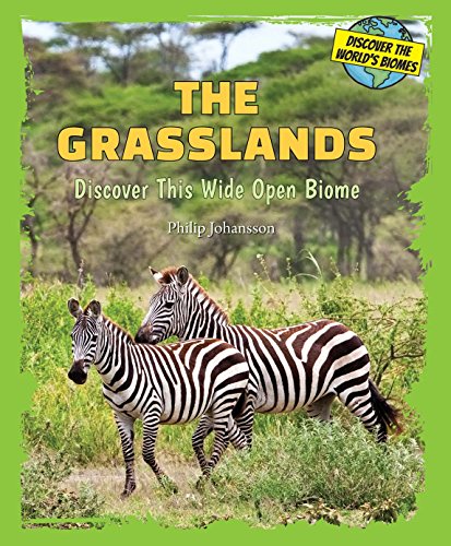 The Grasslands: Discover This Wide Open Biome by Philip Johansson