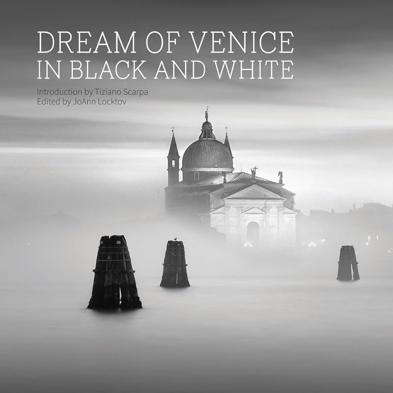 Dream of Venice in Black and White by JoAnn Locktov