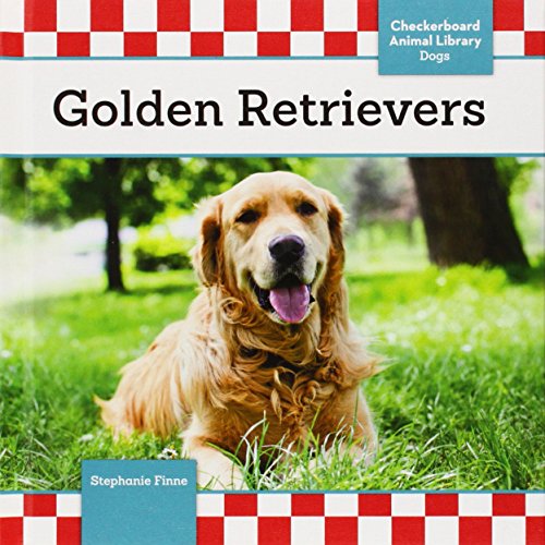 Golden Retrievers by Stephanie Finne