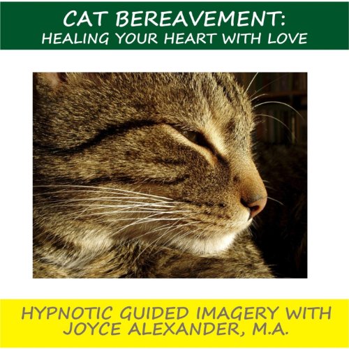 Algopix Similar Product 1 - Stress Management Thru Hypnotherapy In