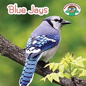 Blue Jays
