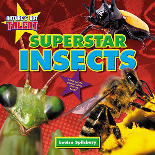Superstar Insects by Louise Spilsbury