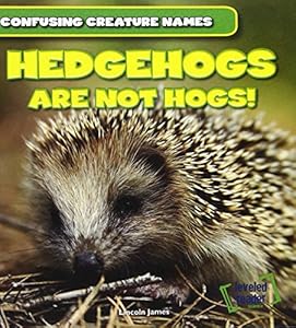 Hedgehogs Are Not Hogs!