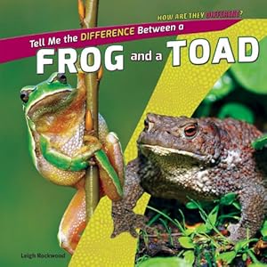 A Frog and a Toad