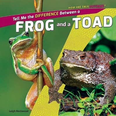 A Frog and a Toad