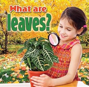 What Are Leaves?