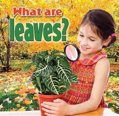 What Are Leaves?