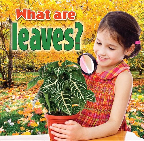 What Are Leaves? by Kelley Macaulay