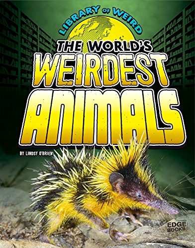 The World's Weirdest Animals by Lindsy O'Brien