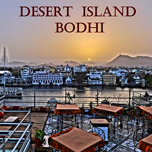 Desert Island Bodhi: Best Practices in Prosperity and Happiness, Hard Truths on the Road to Success and Joy by Rip Current Media