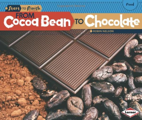 From Cocoa Bean to Chocolate by Robin Nelson