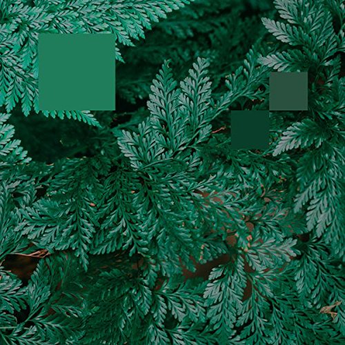 Algopix Similar Product 4 - Metaphor To The Floor