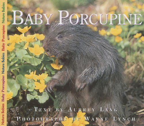 Baby Porcupine (Nature Babies) by Wayne Lynch