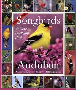 Audubon 365 Songbirds and Other Backyard Birds Picture-A-Day Calendar 2009