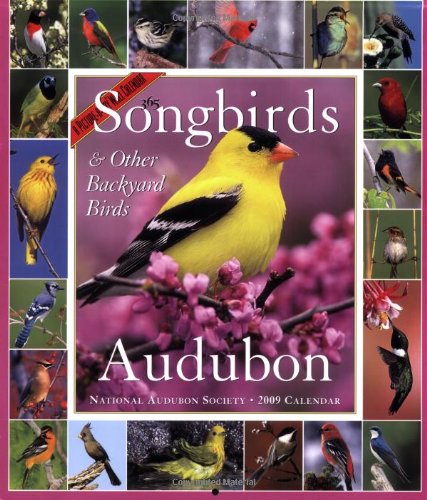 Audubon 365 Songbirds and Other Backyard Birds Picture-A-Day Calendar 2009 by National Audubon Society