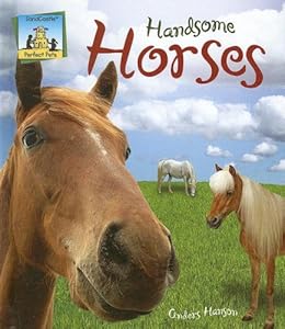 Handsome Horses (Perfect Pets)