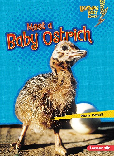 Meet a Baby Ostrich by Marie Powell