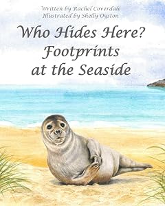 Who Hides Here?: Footprints at the Seaside by Rachel Coverdale