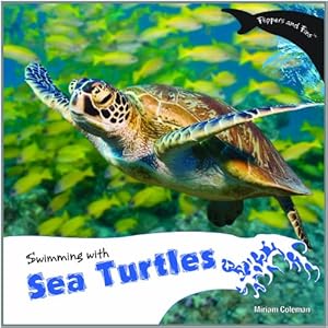 Swimming with Sea Turtles