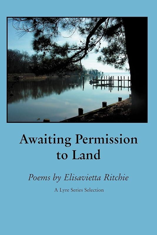 Awaiting Permission to Land by Elisavietta Ritchie