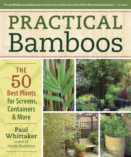 Practical Bamboos: The 50 Best Plants for Screens, Containers and More by Paul Whittaker