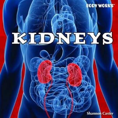 Kidneys (Body Works)