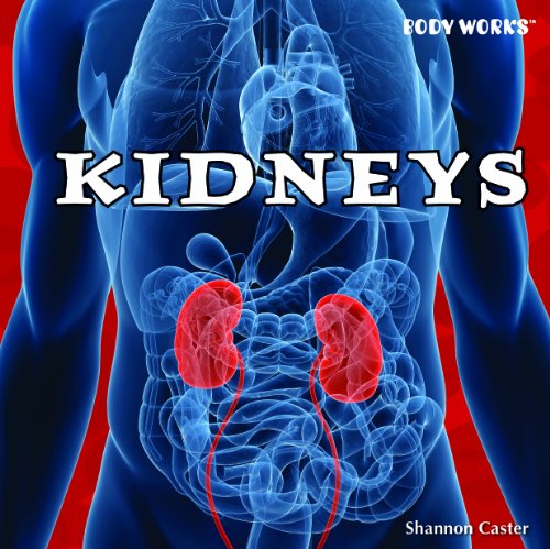 Kidneys (Body Works) by Shannon Caster