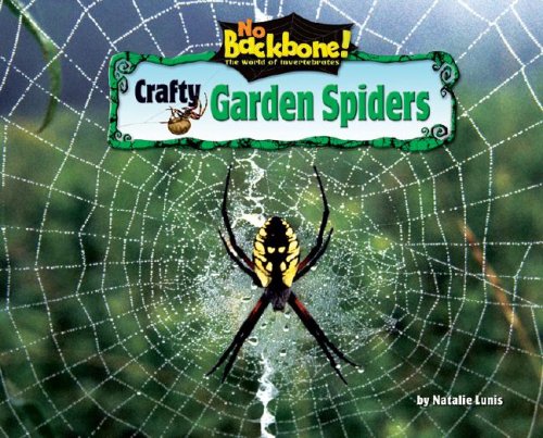 Crafty Garden Spiders (No Backbone! the World of Invertebrates) by Nancy White