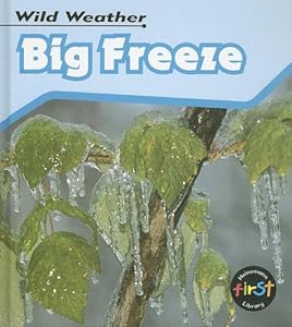 Big Freeze (Heinemann First Library)
