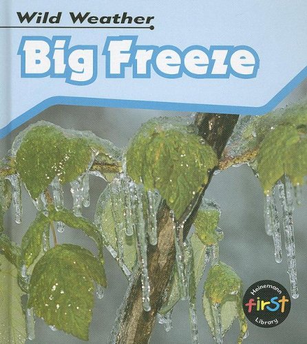 Big Freeze (Heinemann First Library) by Catherine Chambers