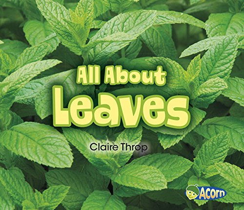 All About Leaves by Claire Throp
