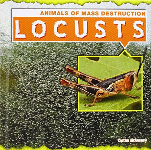 Locusts by Caitlin McAneney