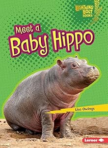 Meet a Baby Hippo