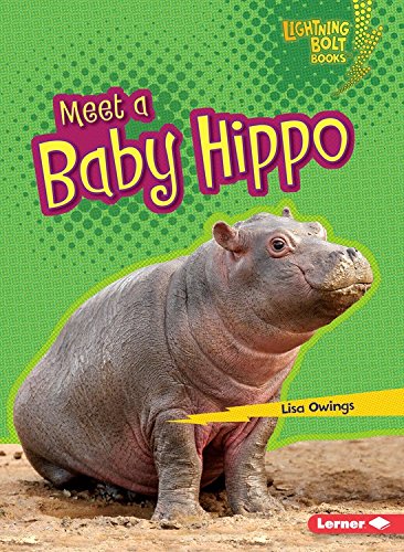 Meet a Baby Hippo by Lisa Owings
