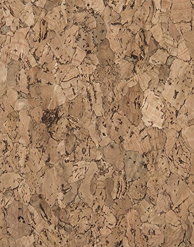Algopix Similar Product 17 - WallCork QNP490627 Quercus Natural