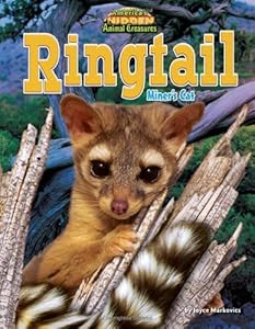 Ringtail: Miner's Cat