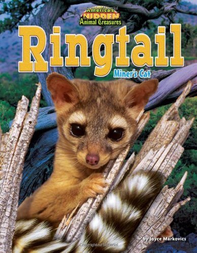 Ringtail: Miner's Cat by Joyce Markovics