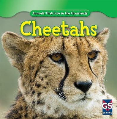 Cheetahs