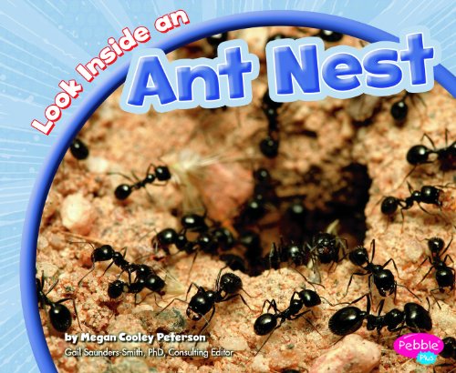 Look inside an ant nest by Megan Cooley Peterson