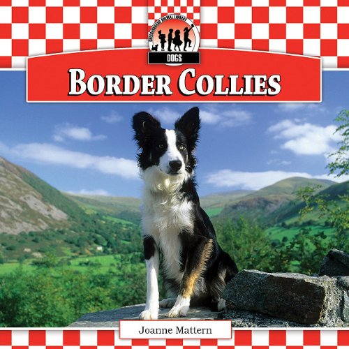 Border Collies by Joanne Mattern